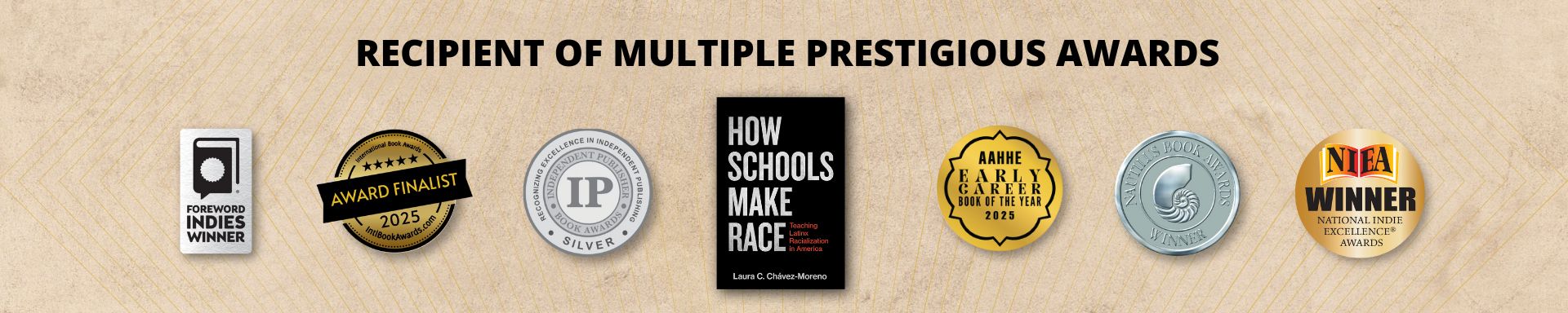 Laura Chávez-Moreno - Website Banner