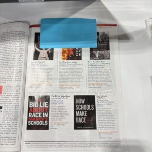 How Schools Make Race featured in The Nation